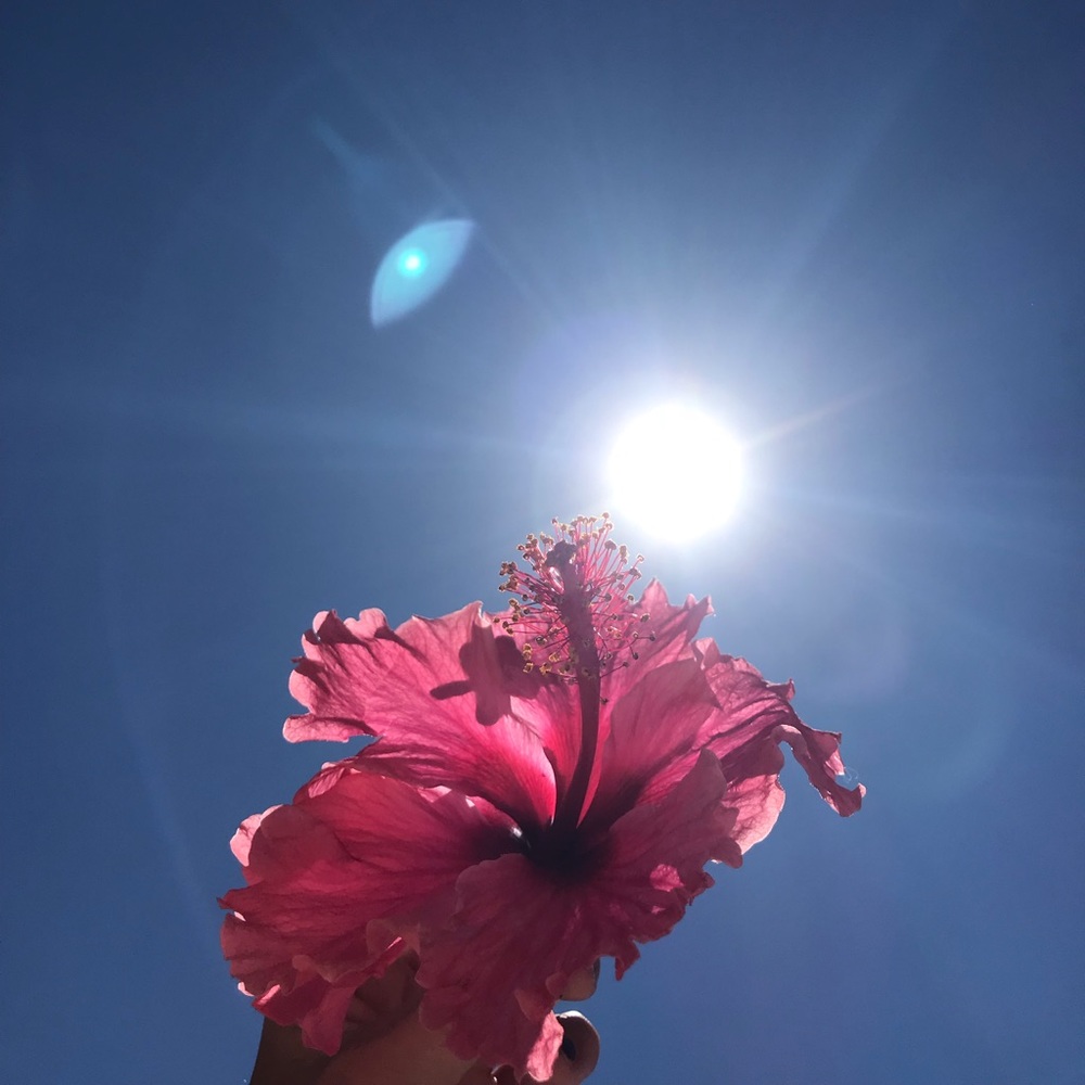 Meet your Posher, Rain